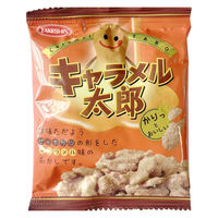 【アウトレット】竹新製菓 キャラメル太郎 14g 1セット（1袋×20） お菓子 おつまみ お茶請け 小分け ピーナッツ