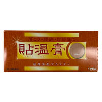 貼温膏（はるおんこう）120枚  温感 貼り薬 肩こり 腰痛 関節痛【第3類医薬品】