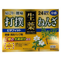 ピタフィット 24枚 生薬成分配合 打撲 ねんざ 肩こり 腰痛【第3類医薬品】