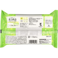 服部製紙 ALPー30 あつめの食卓&リビング拭き 4976861008126 1セット(20枚×12点)（直送品）