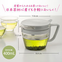 HARIO (ハリオ) ティーポット 400ml 電子レンジ対応 マルティ OTPM-40-PGR 1個