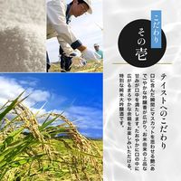 月桂冠 鳳麟 純米大吟醸 300ml 1本 日本酒