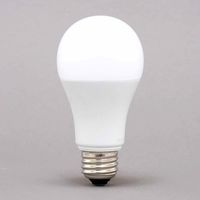 アイリスオーヤマ LED電球 E26 全方向 100形相当 電球色 2個セット LDA12L-G/W-10T102P 1箱(2個入)
