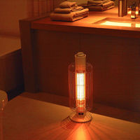 aladdin グラファイトヒーター CAH-G42GE(W) 1台