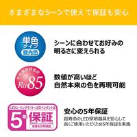 東芝 LEDシーリングライト 8畳用 調光 NLEH08002E-DLD 1台