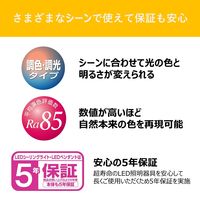 東芝 LEDシーリングライト 14畳用 調光調色 NLEH14002E-LC 1個