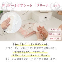 ナプキン フリーナ 使い捨て布ナプキン デリケートケアシート テープなし 1パック（60枚入）匠ソリューションズ