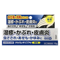 デルマレチゾンPV軟膏 10g  塗り薬 アンテドラッグステロイド 湿疹 かぶれ 皮膚炎【指定第2類医薬品】