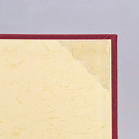 ナカバヤシ 証書ファイルCタイプ/スエードA4/エンジ FSS-A4C-R 1セット(1冊×10)