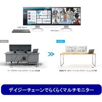 EIZO <FlexScan>24.1インチカラー液晶モニター EV2495-WT 1台