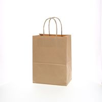 HEIKO ドリンクホルダーバッグ　２０ー２　未晒無地　10枚／袋 003169987 10枚／袋×10袋（直送品）