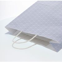 【ケース販売】HEIKO 紙袋 25チャームバッグ 2才 スクエア グレー 003230303  1ケース(50枚入×4袋)（直送品）