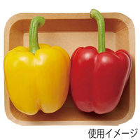 シモジマ クラフトフードトレー 15ー17 004500022 1セット(1束(50枚)×12)（直送品）