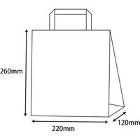 【ケース販売】HEIKO ポリチャームバッグ 平手 22-1 チェッカー 表記入 006632811 1ケース(20枚入×25袋)（直送品）