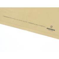 HEIKO ＬＤカラーポリ２５ー４０（Ａ４用）　ベージュ表記入　50枚／袋 006640043 50枚／袋×10袋（直送品）