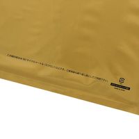 HEIKO ＬＤカラーポリ２５ー４０（Ａ４用）　ゴールド表記入　50枚／袋 006640045 50枚／袋×10袋（直送品）