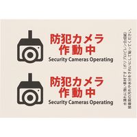 HEIKO ピクトグラムステッカー　Ｓ　防犯カメラ作動中　1束 007062366 1束×10束（直送品）