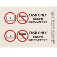 HEIKO ピクトグラムステッカー　Ｓ　キャッシュオンリー　1束 007062367 1束×10束（直送品）