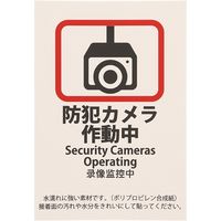 HEIKO ピクトグラムステッカー　Ｍ　防犯カメラ作動中　1束 007062376 1束×10束（直送品）