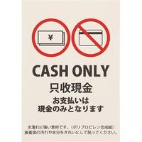 HEIKO ピクトグラムステッカー　Ｍ　キャッシュオンリー　1束 007062377 1束×10束（直送品）
