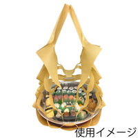 エスパック KPSーLLー2 アミタイLL キャメル 50枚/袋 008713004 1セット(1袋(50枚入)×24)（直送品）