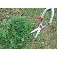 ファミリー・ライフ 芝生●雑草用刈込バサミセット　a22470 1セット（直送品）