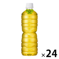 アサヒ飲料 緑茶 ラベルレスボトル 630ml 1箱（24本入）