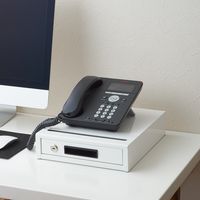 ナカバヤシ セキュリティデスクトップケース シリンダー錠 AL-S200シロ 1台