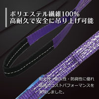フリーク ベルトスリングE型 使用荷重800kg 幅25mm 長さ4m 561429 1本