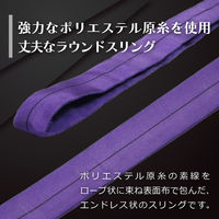 フリーク ラウンドスリングN型 使用荷重1000kg 幅50mm 長さ2.5m 561479 1本（直送品）