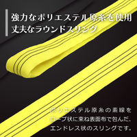 フリーク ラウンドスリングN型 使用荷重3000kg 幅60mm 長さ2.5m 561491 1本（直送品）
