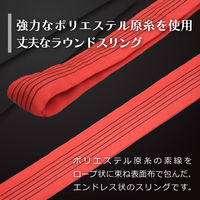 フリーク ラウンドスリングN型 使用荷重5000kg 幅70mm 長さ1m 561500 1本（直送品）