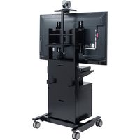 サンワサプライ テレビ会議用 ディスプレイスタンド 幅770×奥行660×高さ1801mm CR-PL39BK 1台（直送品）