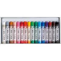 寺西化学工業 ギター ネオパス 16色(ゴム掛け) PSKR-16 1セット（2箱）（直送品）