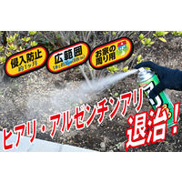 イカリ消毒 ムシクリン アリ用エアゾール 480ml 205660 1本（直送品）