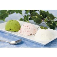 アイガー KAMANARIYA イタリアンジェラート KA-IT12 384755 1セット（直送品）