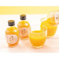 早和果樹園 有田みかんジュース10本セット C10-B 384790 1セット（直送品）