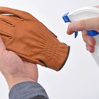 デイトナ レザーウォッシュ スプレー 16833 1個