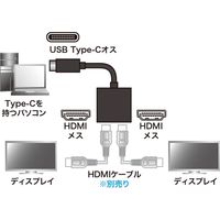 サンワサプライ USB TypeC MSTハブ (DisplayPort Altモード) AD-ALCMST2HD 1個