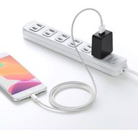 サンワサプライ USB充電器(1A・広温度範囲対応タイプ) ACA-IP69BK 1個（直送品）