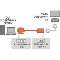 サンワサプライ DVI-VGA変換アダプタ AD-DV08VGA 1個