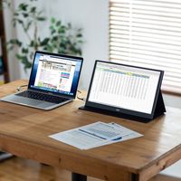 サンワサプライ モバイルモニター15.6インチ DP-01 1個（直送品）