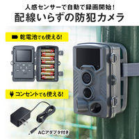トレイルカメラ　防犯カメラ　動物・獣害対策　屋外　工事不要　乾電池式/AC電源　CMS-SC03GY　サンワサプライ　1台（直送品）