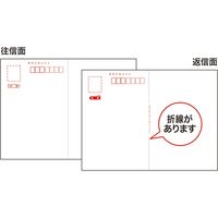 サンワサプライ インクジェット往復はがき(つやなしマット20枚入り) JP-HKDP20N2 1個
