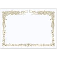 サンワサプライ インクジェット用賞状(A4・横) JP-SHA4YN2 1個