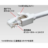 サンワサプライ カテゴリ6A LANケーブル KB-T6ATS-30W 1個（直送品）