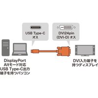 サンワサプライ TYPE C-DVI変換ケーブル 3m KC-ALCDVA30 1本