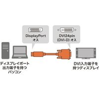 サンワサプライ DisplayPort-DVI変換ケーブル 3m KC-DPDVA30 1本