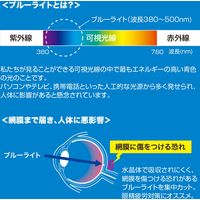 サンワサプライ 23.8型ワイド対応ブルーライトカット液晶保護指紋防止光沢フィルム LCD-BCG238W 1枚（直送品）
