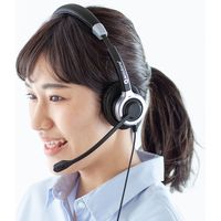 サンワサプライ ノイズキャンセリングマイク付きUSBヘッドセット MM-HSU14ANC 1個（直送品）